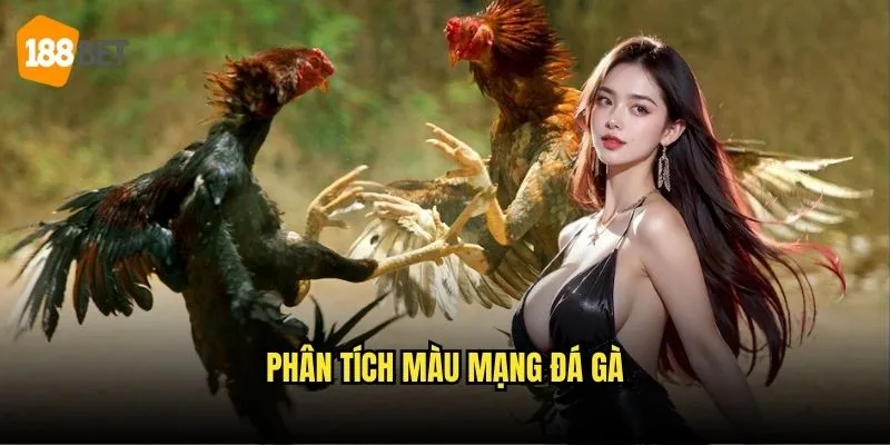 Màu Mạng Đá Gà 188bet - Giải Mã Bí Mật Chọn Gà 2 Phân tích màu mạng gà