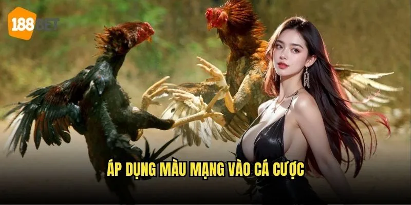 Màu Mạng Đá Gà 188bet - Giải Mã Bí Mật Chọn Gà 3 Áp dụng màu mạng vào cá cược