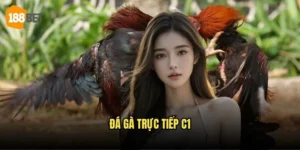 Đá Gà Trực Tiếp C1 188bet - Những Trận Đấu Đẳng Cấp Nhất 3 Đá Gà Trực Tiếp C1