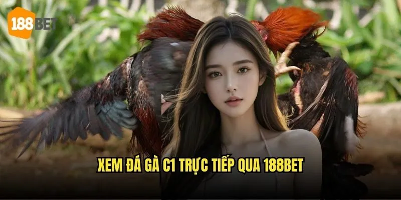 Đá Gà Trực Tiếp C1 188bet - Những Trận Đấu Đẳng Cấp Nhất 3 Xem đá gà C1 trực tiếp qua 188bet
