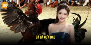 Đá Gà Cựa Dao 188bet - Trải Nghiệm Đá Gà Kịch Tính 11 Đá Gà Cựa Dao