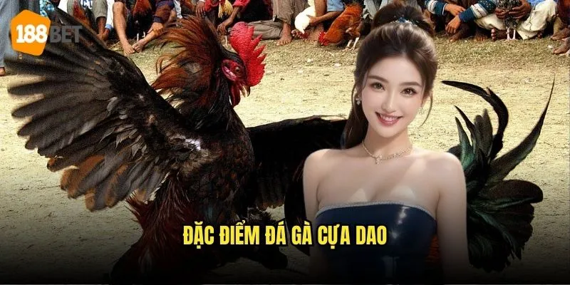 Đá Gà Cựa Dao 188bet - Trải Nghiệm Đá Gà Kịch Tính 2 Đặc điểm đá gà cựa dao