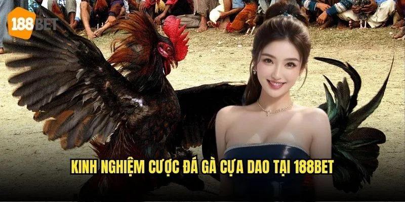 Đá Gà Cựa Dao 188bet - Trải Nghiệm Đá Gà Kịch Tính 3 Kinh nghiệm cược đá gà cựa dao tại 188bet