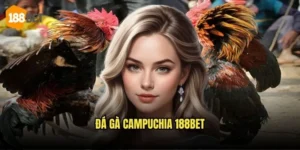 Đá Gà Campuchia 188bet - Trực Tiếp Từ Các Trường Đấu Lớn 7 Đá Gà Campuchia 188bet