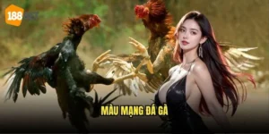 Màu Mạng Đá Gà 188bet - Giải Mã Bí Mật Chọn Gà 1 Màu Mạng Đá Gà