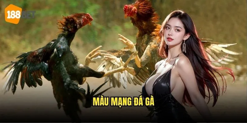 Màu Mạng Đá Gà 188bet - Giải Mã Bí Mật Chọn Gà 1 Màu Mạng Đá Gà